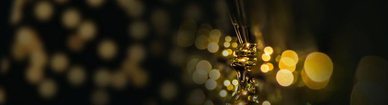 PT Sinar Mas Sakti Achievements